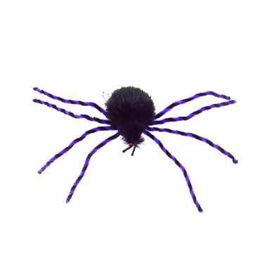 Araignée douce aux pattes violettes