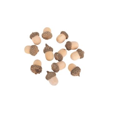 12 glands naturels bois automne | jourdefete.com