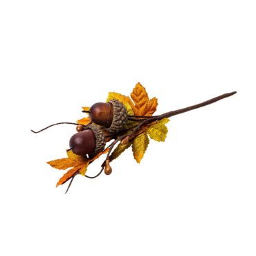 branche-glands-automne-decoration | jourdefete.com