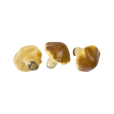 Lot de 6 petits champignons décoratifs en mousse marron pour table d'automne | jourdefete.com