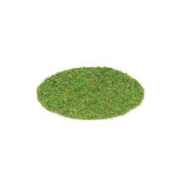set-table-mousse-vegetal | jourdefete.com