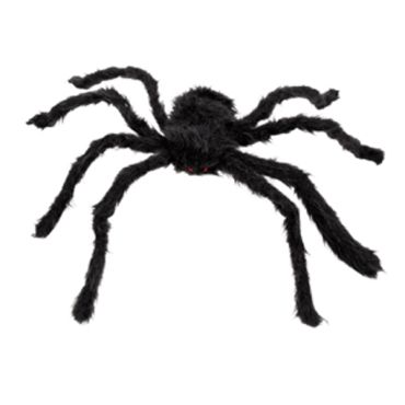Araignée Noire Velue