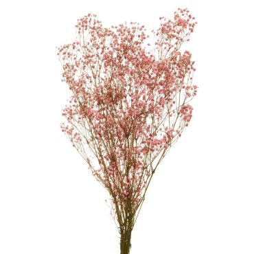 Bouquet de gypsophile séché rose doux | jourdefete.com