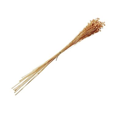 bouque-fleurs-sechees-lin-moutarde-decoration | jourdefete.com