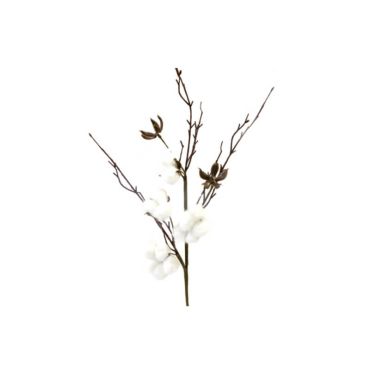 branche 7 fleurs de coton | jourdefete.com