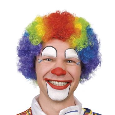 perruque clown multicolore | jourdefete.com