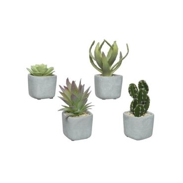 plante-grasse-pot-beton | jourdefete.com