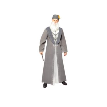 Déguisement Dumbledore pour homme Harry Potter™ taille au choix | jourdefete.com