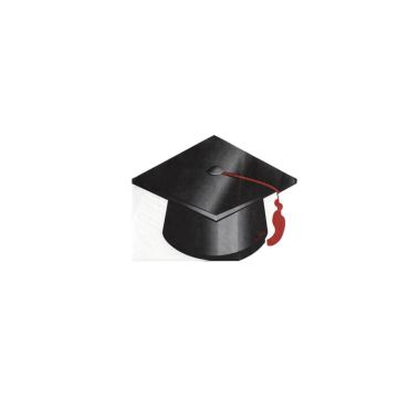 16 serviettes en papier étudiant diplômé de 16,5 cm | jourdefete.com