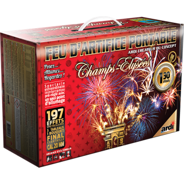 Eblouissez vos invités en tirant vous-même votre feu d'artifice grâce à ce pack Portable® d'une durée d'une minute 30 | jourdefete.com