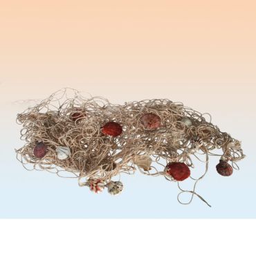 Carrelet de Pêche avec Coquillages