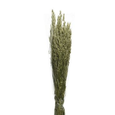 Bouquet d'herbes séchées - Modèle Aléatoire