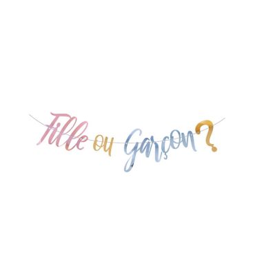 guirlande gender reveal fille ou garçon 2.5 M | jourdefete.com