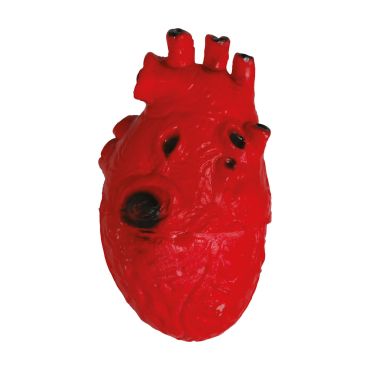 Faux cœur humain en latex rouge réaliste de 15 cm avec veines et détails noirs pour costume d'Halloween | jourdefete.com