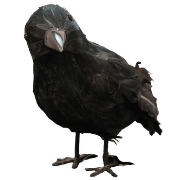 Corbeau noir décoratif pour Halloween 20 cm réaliste | jourdefete.com