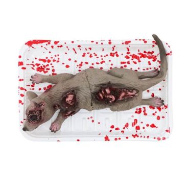 rat ensanglanté dans une barquette | jourdefete.com