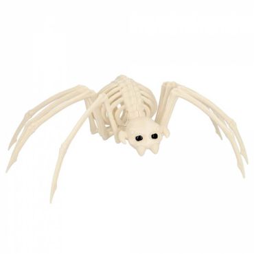 Un squelette d'araignée pour effrayer vos invités le soir d'halloween : Frissons garantis ! | jourdefete.com