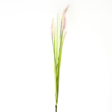 herbe-pampa-rose-plumeau-feuille-fleur|jourdefete.com