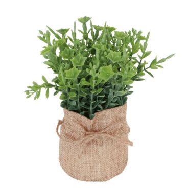 plante-verte-decoration-vegetal|jourdefete.com