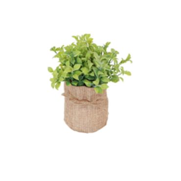 plante-grasse-decoration-mariage|jourdefete.com