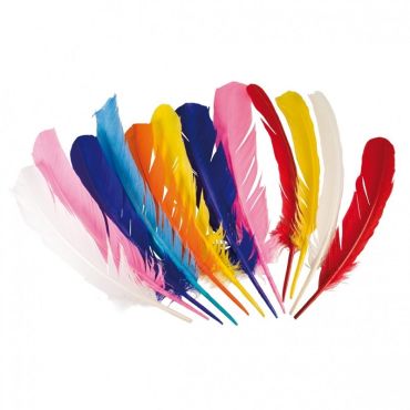12 Plumes d'Indien Multicolore - 30 cm 12 Plumes d'Indien Multicolore - 30 cm