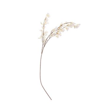 branche de magniolia blanc | jourdefete.com