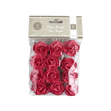12 Roses Corail sur Tige