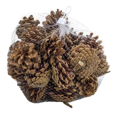 pommes de pin naturelles de 300 g | jourdefete.com