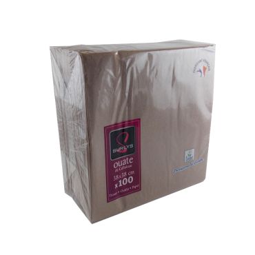 100 Serviettes Ouate de Cellulose Argile 100 Serviettes Ouate de Cellulose Argile