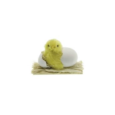 poussin dans œuf qui éclos de 7 cm | jourdefete.com