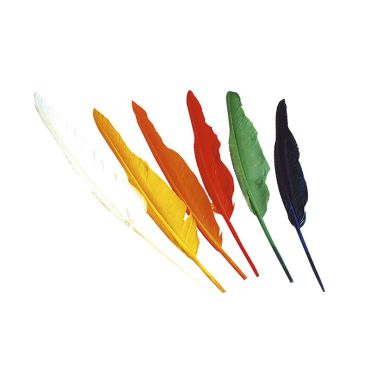Pack de 12 plumes multicolores