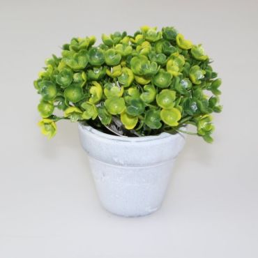 Décoration Plante Grasse en pot en céramique - Jaune