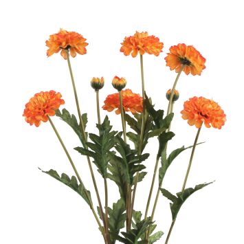 Bouquet de 3 tiges de tagètes - 12 x 8 x 59 cm - Couleur au choix