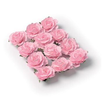 12 Roses Roses sur Tige