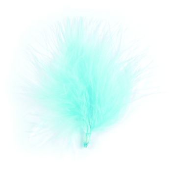 20 Plumes Bleu Ciel