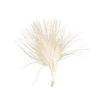 20 Plumes Ivoire