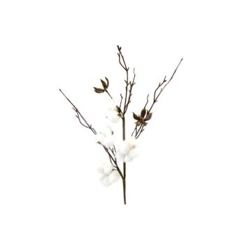 branche 7 fleurs de coton | jourdefete.com
