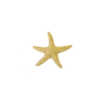 Sachet de 4 Etoiles de Mer Décoratives Pailletées