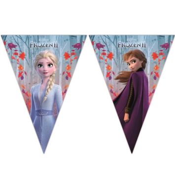 guirlande-fanions-reine-des-neiges-frozen | jourdefete.com
