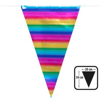 Guirlande de fanions arc-en-ciel de 10 mètres | jourdefete.com