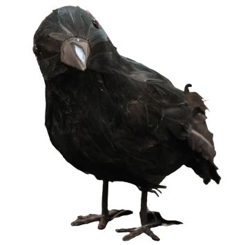Corbeau noir décoratif pour Halloween 20 cm réaliste | jourdefete.com