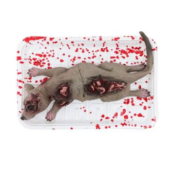 rat ensanglanté dans une barquette | jourdefete.com