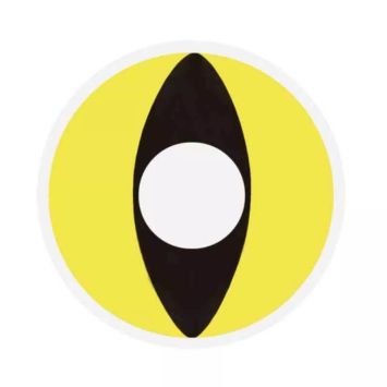 Lentilles "Yellow Cat" - 1 an (sans correction)