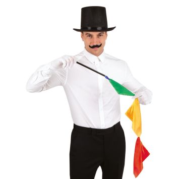 Kit d'accessoires de Magicien pour adulte