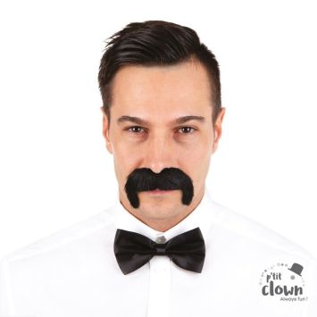 Moustache noire style rétro 1900 déguisement | jourdefete.com