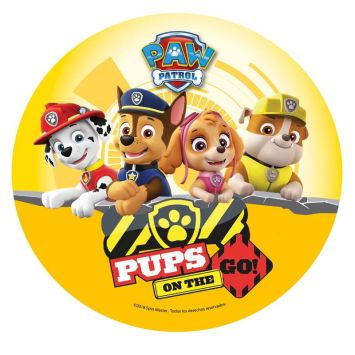 Disque azyme Paw Patrol™ Pat' Patrouille pups de 20 cm | jourdefete.com
