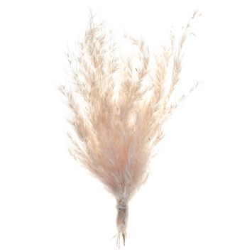 Petite pampa naturelle séchée pour décoration bohème | jourdefete.com