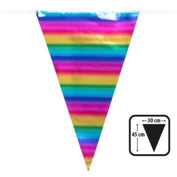 Guirlande de fanions géants arc-en-ciel métallisés 10m | jourdefete.com