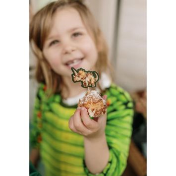 12 pics en bois - 9,5 cm - Collection Dinosaures