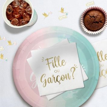 Pack de 10 serviettes - Fille ou Garçon ? - 33 x 33 cm - Collection Gender Reveal